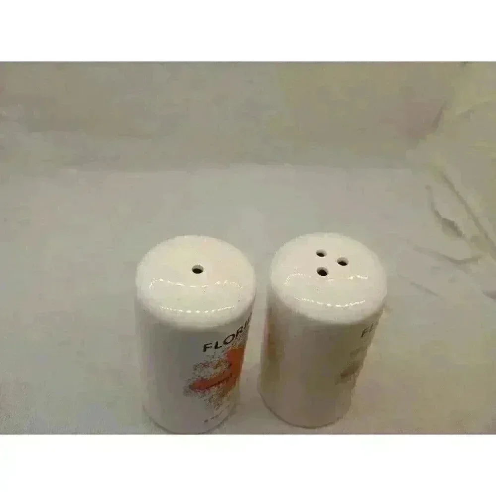 VINTAGE ST. AUGUSTINE FLORIDA SEA SOUVENIR SALT AND PEPPER SHAKERS COLLECTABLE